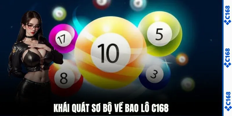 Khái quát sơ bộ về bao lô C168